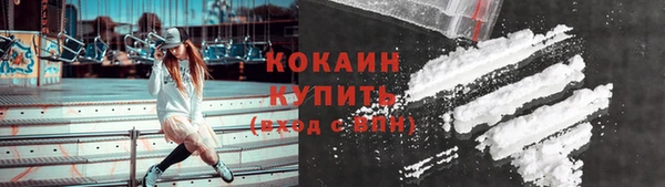 кокс Дмитриев