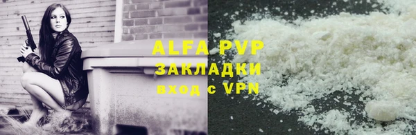 мдпв Гусев