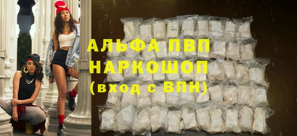 мдпв Гусев