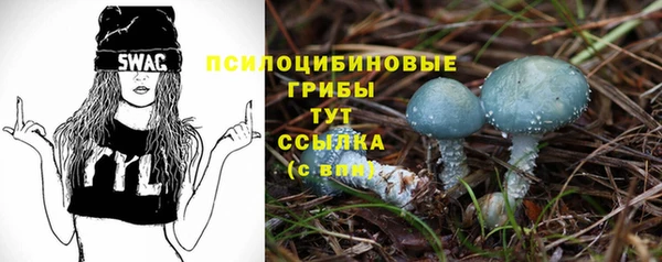 мдпв Гусев