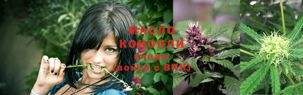 кокс Дмитриев