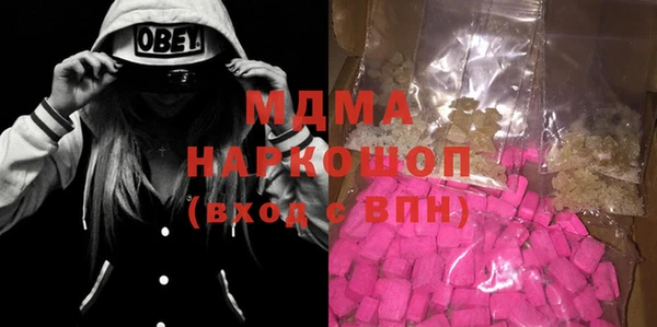 мдпв Гусев