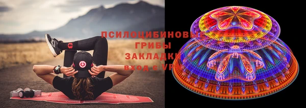 эйфоретик Дмитров