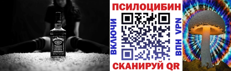 Псилоцибиновые грибы Psilocybe  купить наркотик  Белоозёрский 